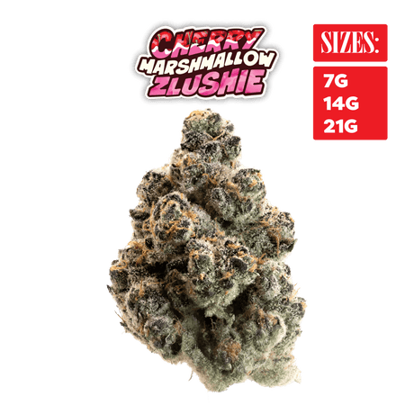 Cherry Marshmallow Zlushie - THCa Super Exotic Indoor Smalls