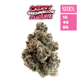 Cherry Marshmallow Zlushie - THCa Super Exotic Indoor Bigs