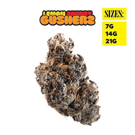 Lemon Cherry Gusherz - THCa Super Exotic Indoor Smalls
