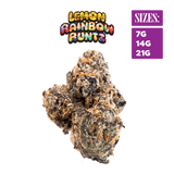 Lemon Rainbow Runtz - THCa Super Exotic Indoor Smalls