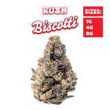 RUSH - Biscotti - Premium THCa Indoor Flower Bigs
