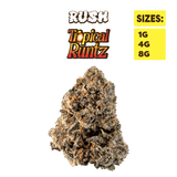 RUSH - Tropical Runtz - Premium THCa Indoor Flower Bigs