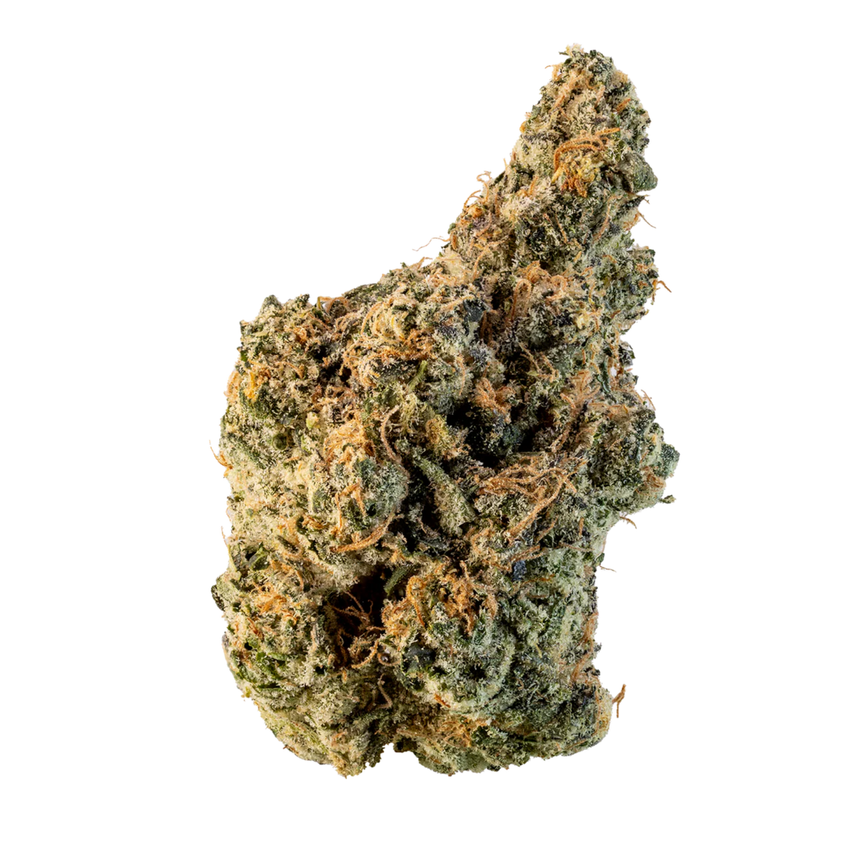 White Gusherz (Smalls)