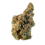 White Gusherz (Smalls)