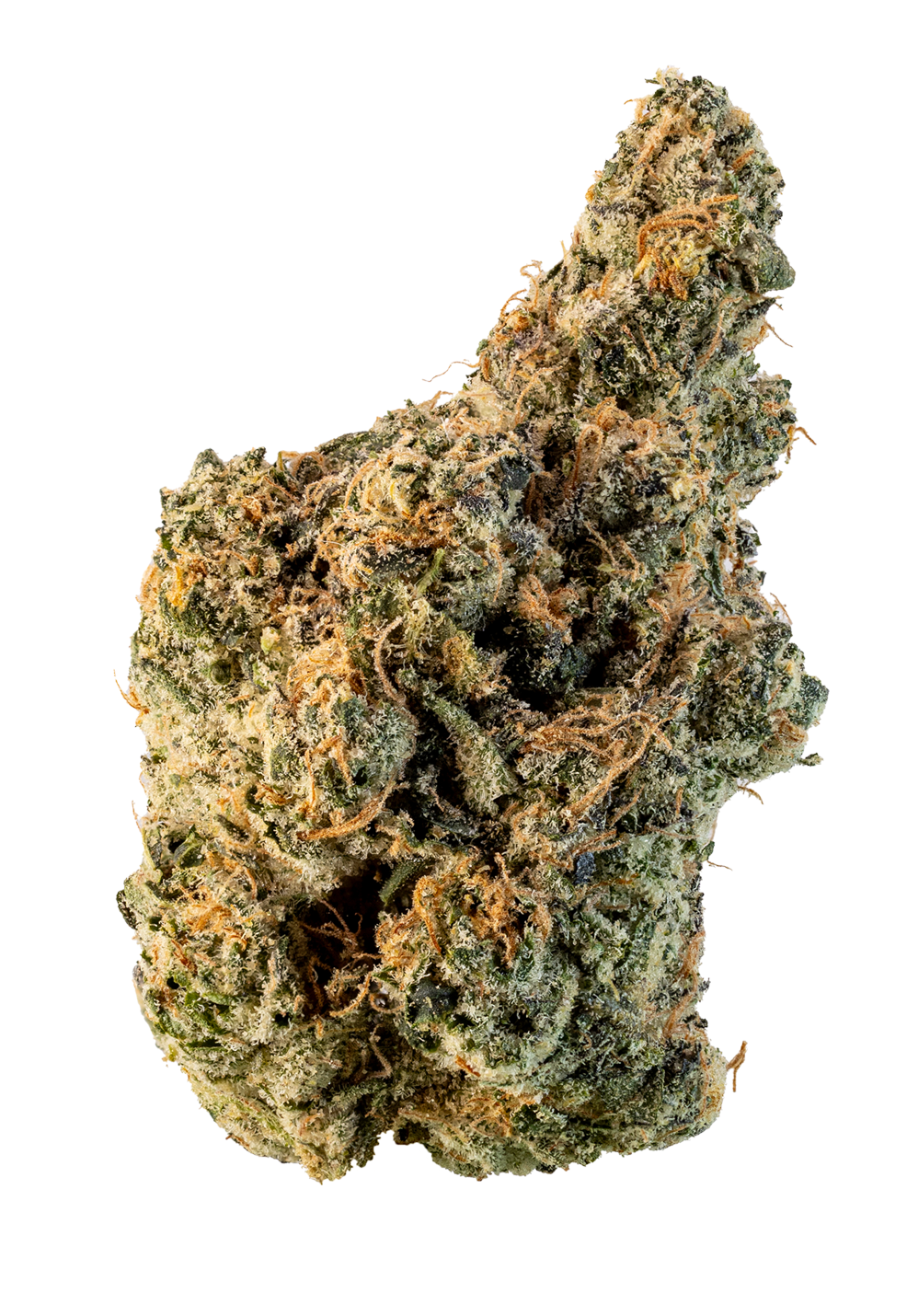 White Gusherz (Smalls)