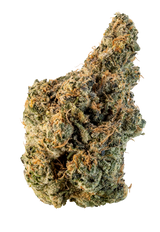 White Gusherz (Smalls)