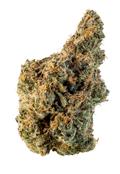 White Gusherz (Smalls)