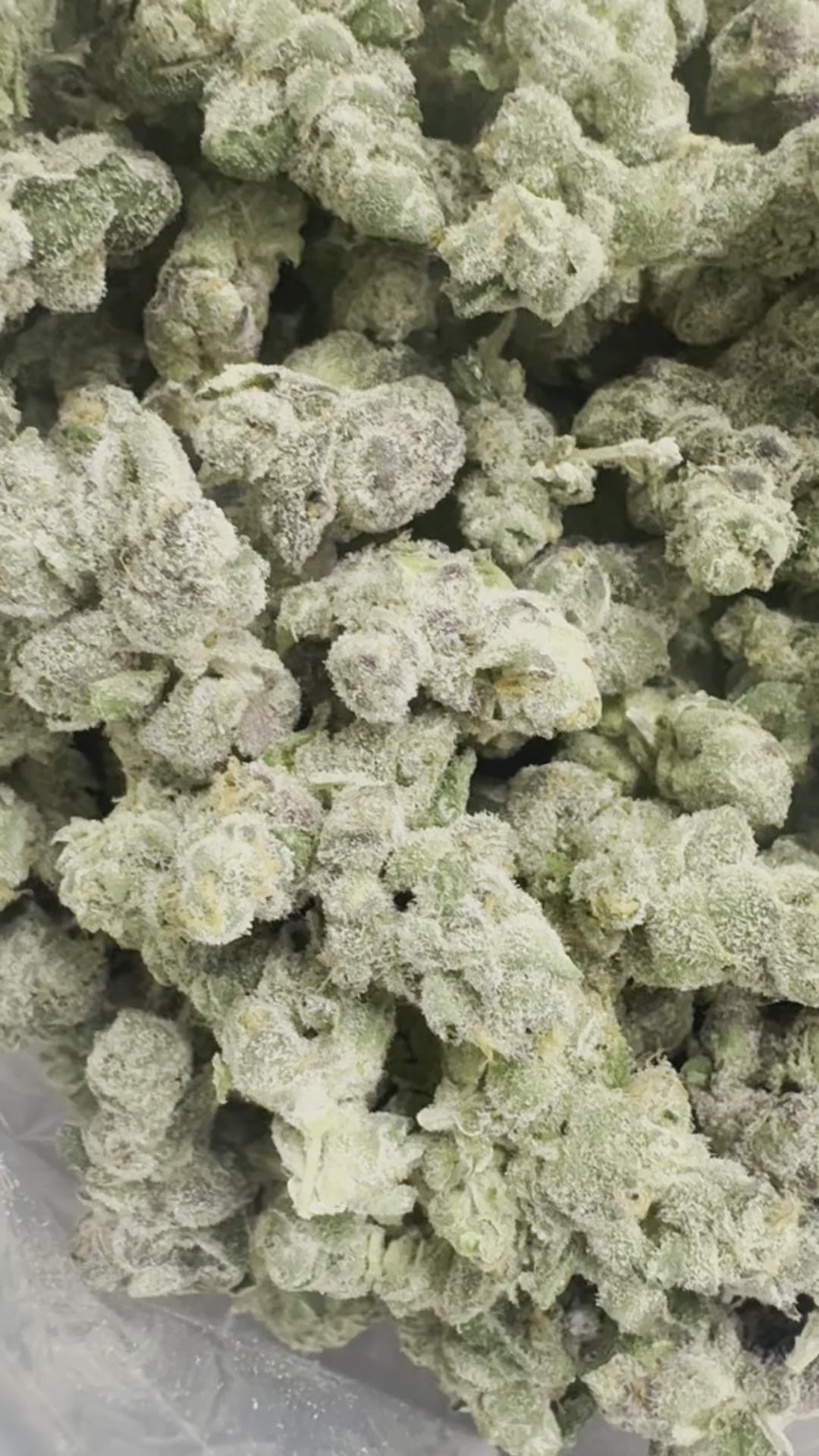 Marshmallow Biscotti (Smalls)