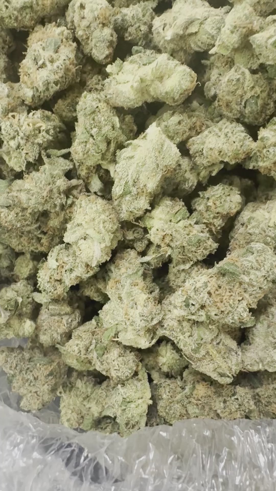 White Zour Taffy (Smalls)